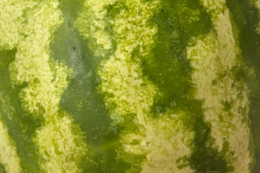 Watermelon Lemonade Jelly