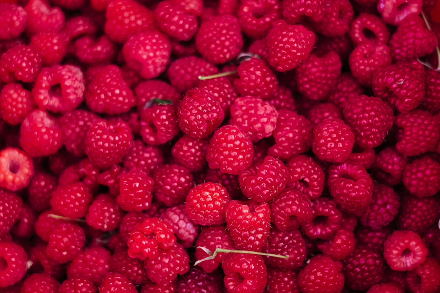 Raspberry Jam