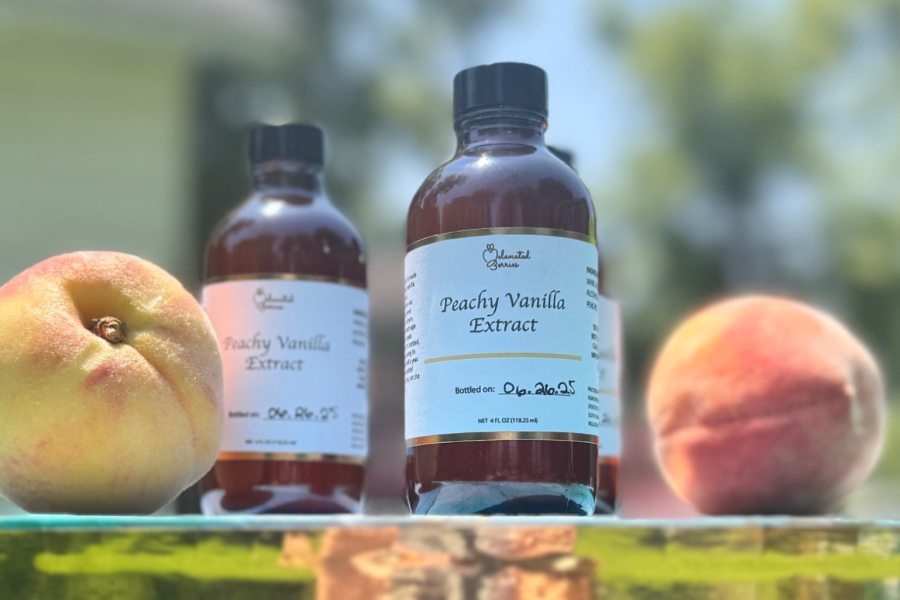 Vanilla Extract