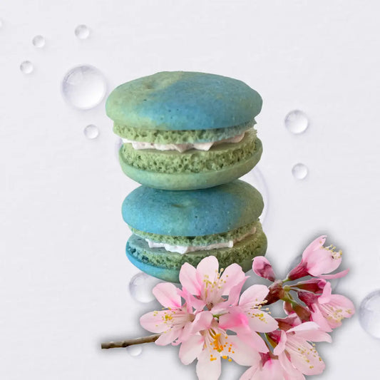Earth Day Macarons (LIMITED EDITION)