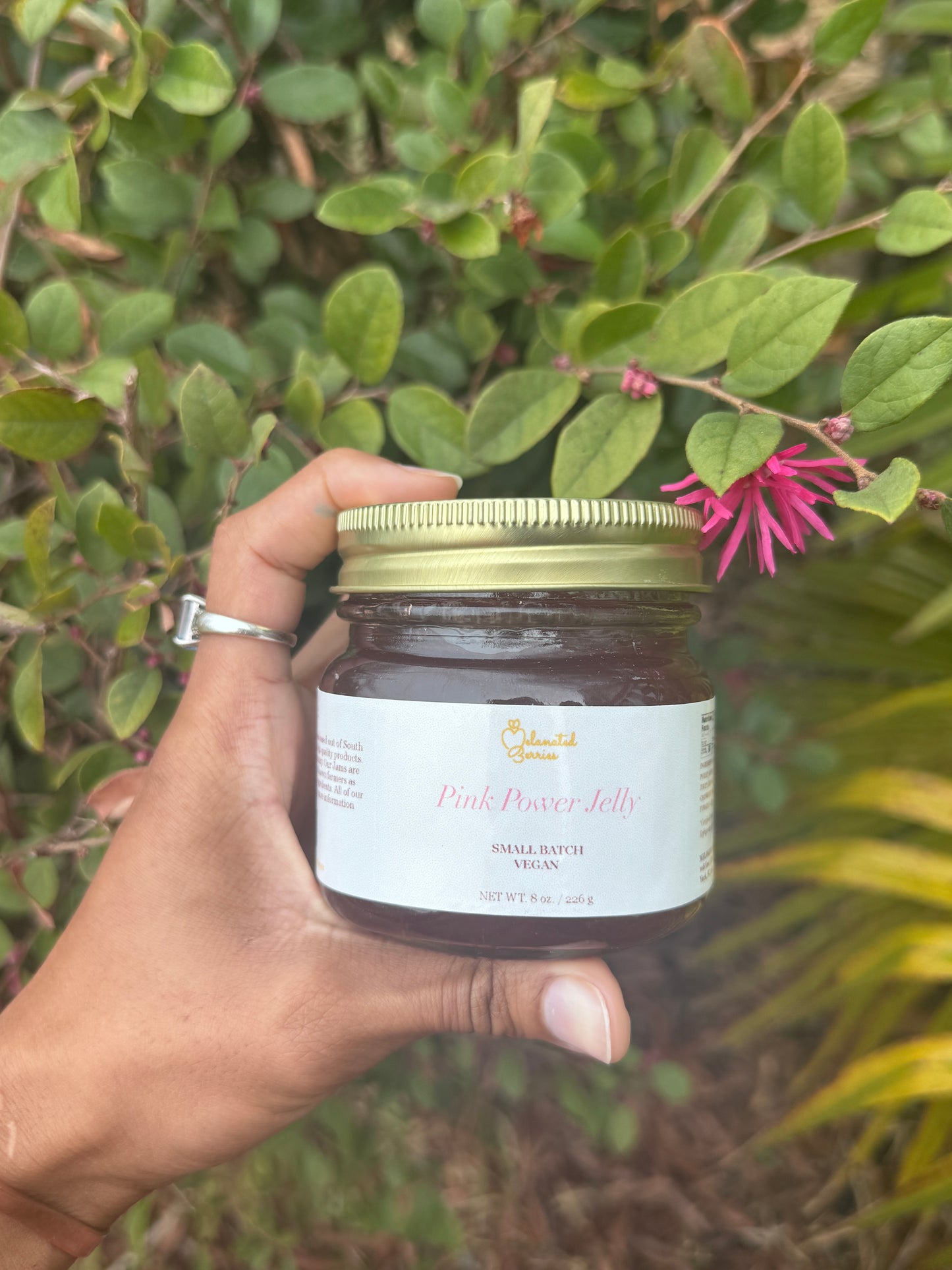 Pink Power Jelly